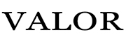 VALOR/威乐品牌logo