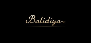 巴利迪亚品牌logo