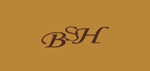 bsh品牌logo