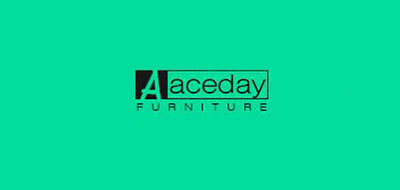 Aceday/艾思迪品牌logo