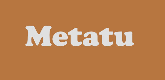 metatu品牌logo