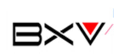 bxv品牌logo