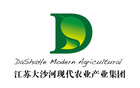 DSH/大沙河品牌logo