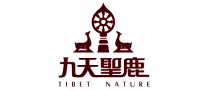 九天品牌logo