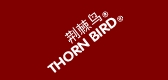 荆棘鸟品牌logo