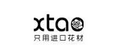 xtao/炫淘品牌logo