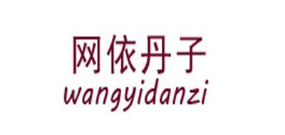 WYDZ/网依丹子品牌logo