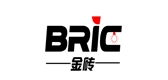 BRIC/金砖品牌logo