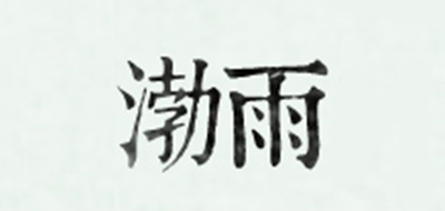 渤雨品牌logo