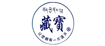 藏宝圣龙品牌logo