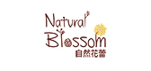 natural blossom/自然花蕾品牌logo