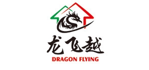 龙飞越品牌logo