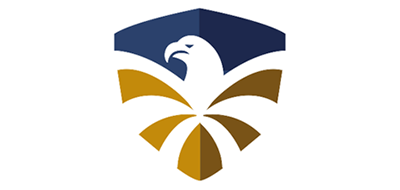 飞鹰品牌logo