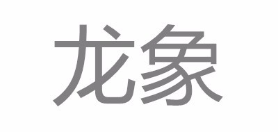 龙象品牌logo
