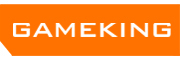 GameKing品牌logo