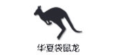 华夏袋鼠龙品牌logo
