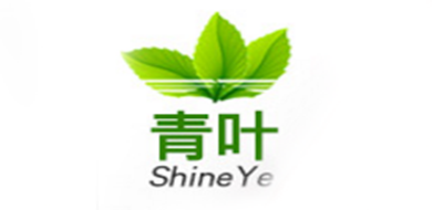 Shineye/青叶品牌logo