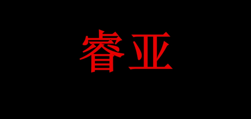 睿亚品牌logo