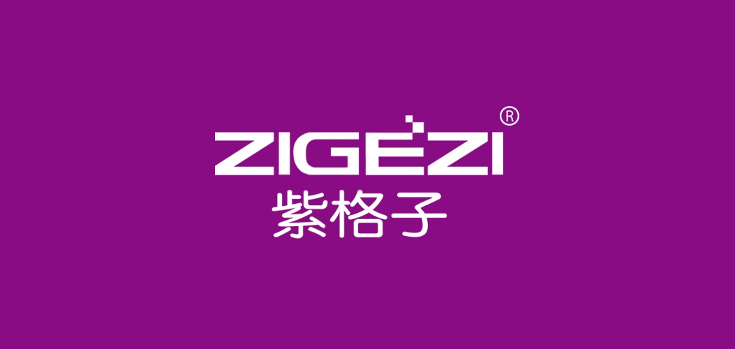 zigezi品牌logo