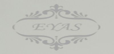 EYAS品牌logo