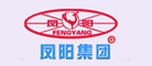 凤阳品牌logo
