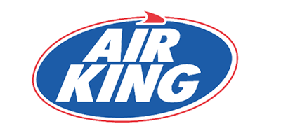 空中霸王品牌logo