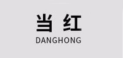 DH/当红品牌logo