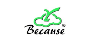 BECAUSE品牌logo