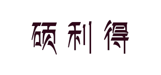 SZSOLID/硕利得品牌logo