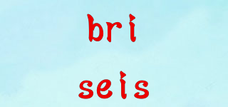 briseis品牌logo