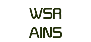 WSRAINS品牌logo