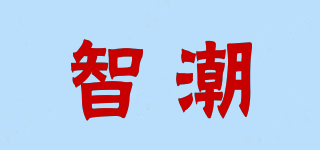 智潮品牌logo