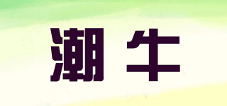 tiding/潮牛品牌logo