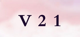 V21品牌logo