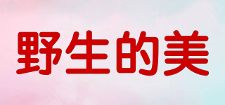 YSDEMEI/野生的美品牌logo