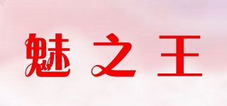 魅之王品牌logo