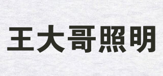 wangdagelighting/王大哥照明品牌logo