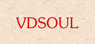 VDSOUL品牌logo