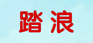 TAENT 踏浪品牌logo
