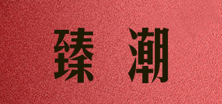臻潮品牌logo