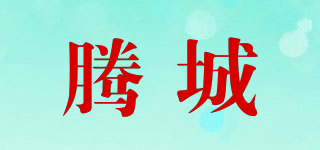 腾城品牌logo