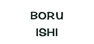 BORUISHI品牌logo