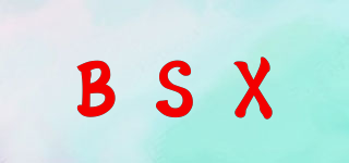 BSX品牌logo