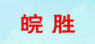 WS/皖胜品牌logo