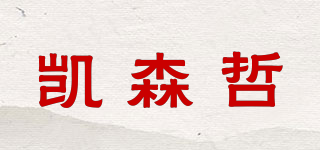 凯森哲品牌logo
