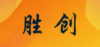 胜创品牌logo