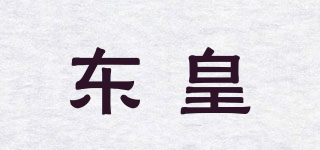 DH/东皇品牌logo