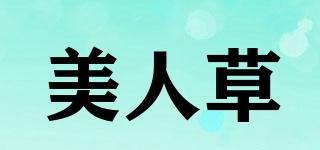 美人草品牌logo