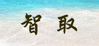 智取品牌logo