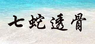 七蛇透骨品牌logo